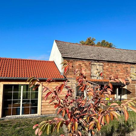 Ferienhaus Melzower Waldhaus Montagewohnung Eksteriør bilde